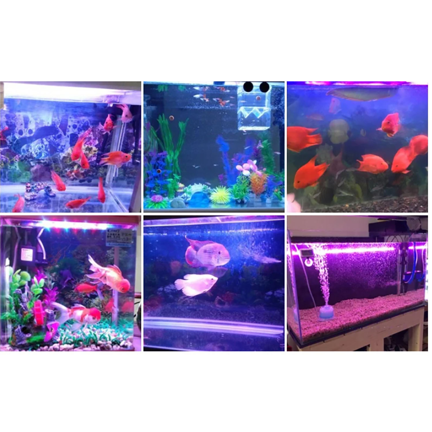 Marine Aquarium Uv Light - Illuminazione LED per Acquario Marino 50W