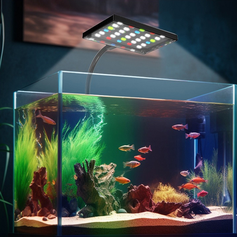 Lampada LED USB per Acquario a - Marine Aquarium Lamp recensione e prezzo