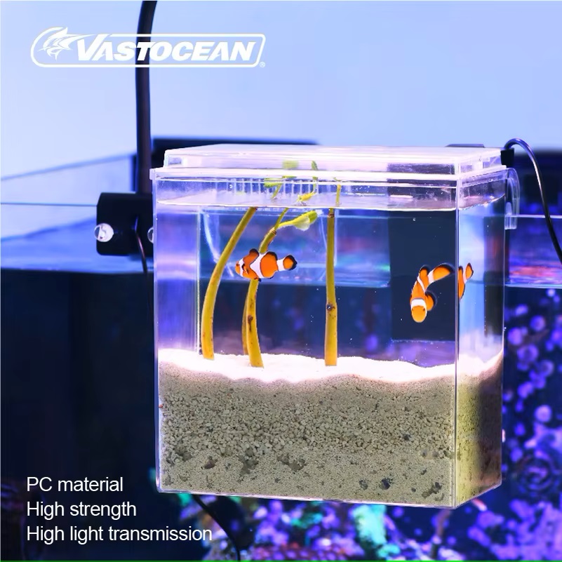VASTOCEAN Fish Tank Scatola di - Marine Aquarium Overflow recensione e prezzo