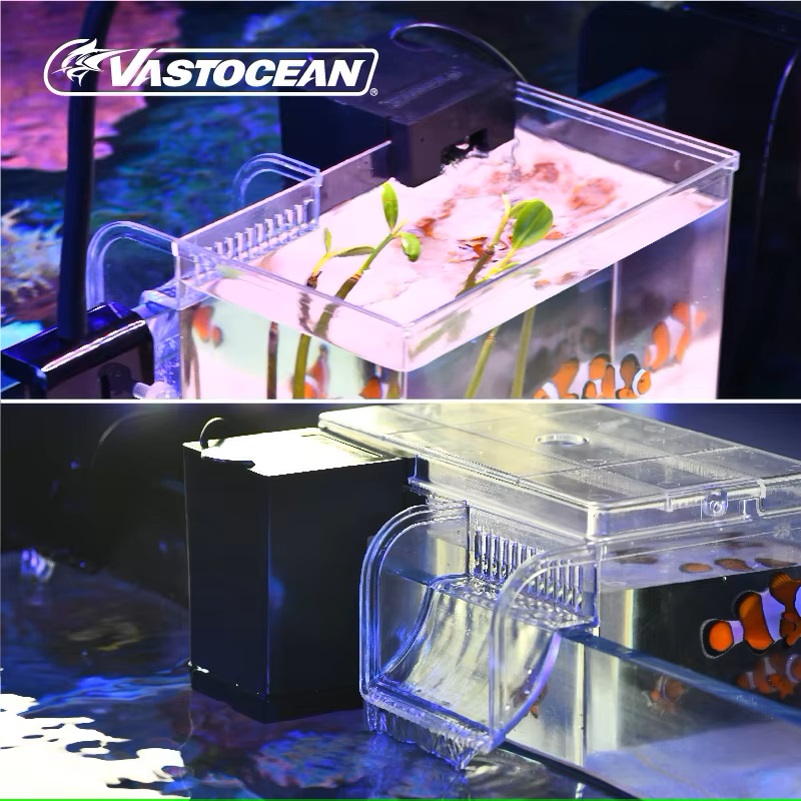 VASTOCEAN Fish Tank Scatola di - Marine Aquarium Overflow recensione e prezzo