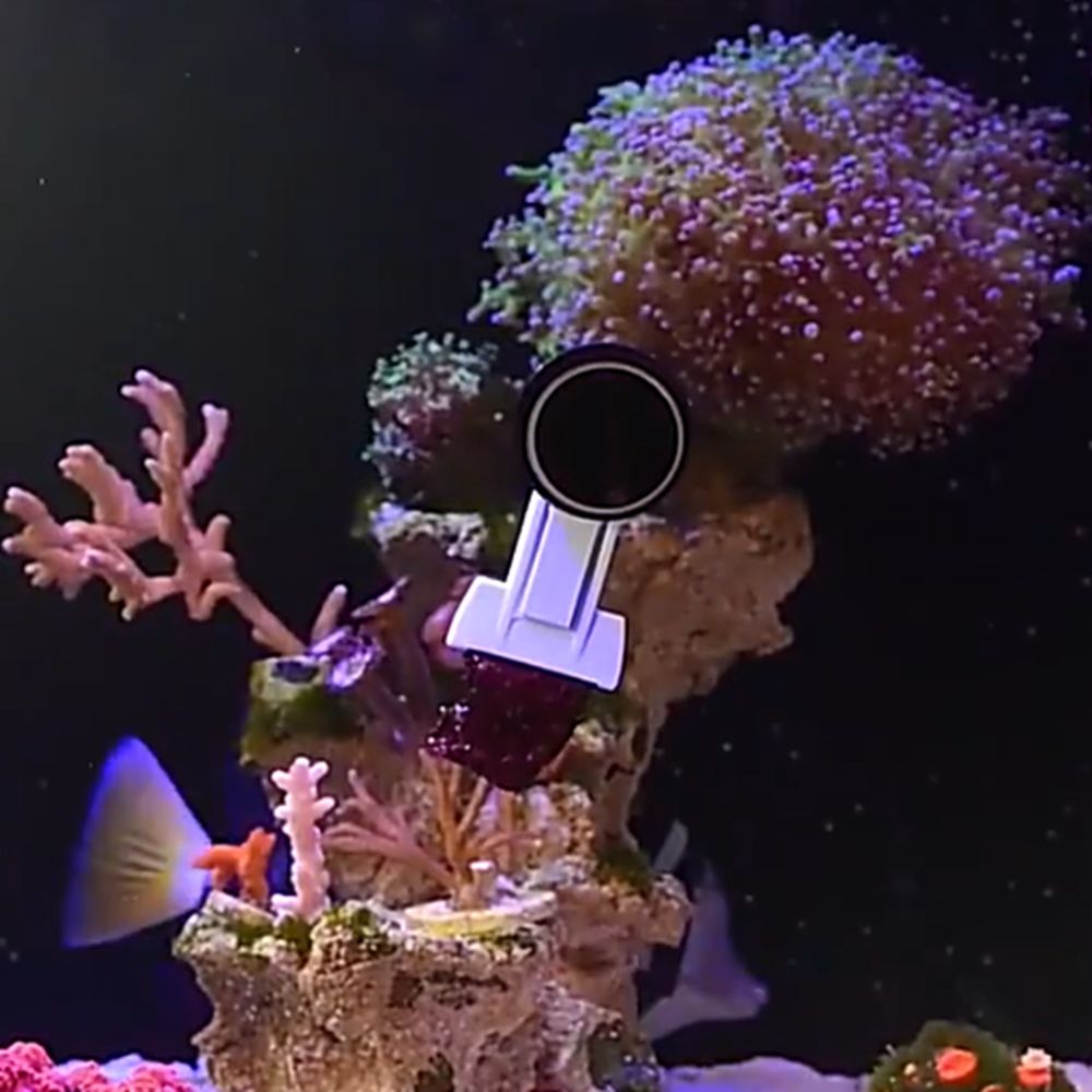 Clip Magnetica per Alghe e Ver - Aquarium Marine Services recensione e prezzo