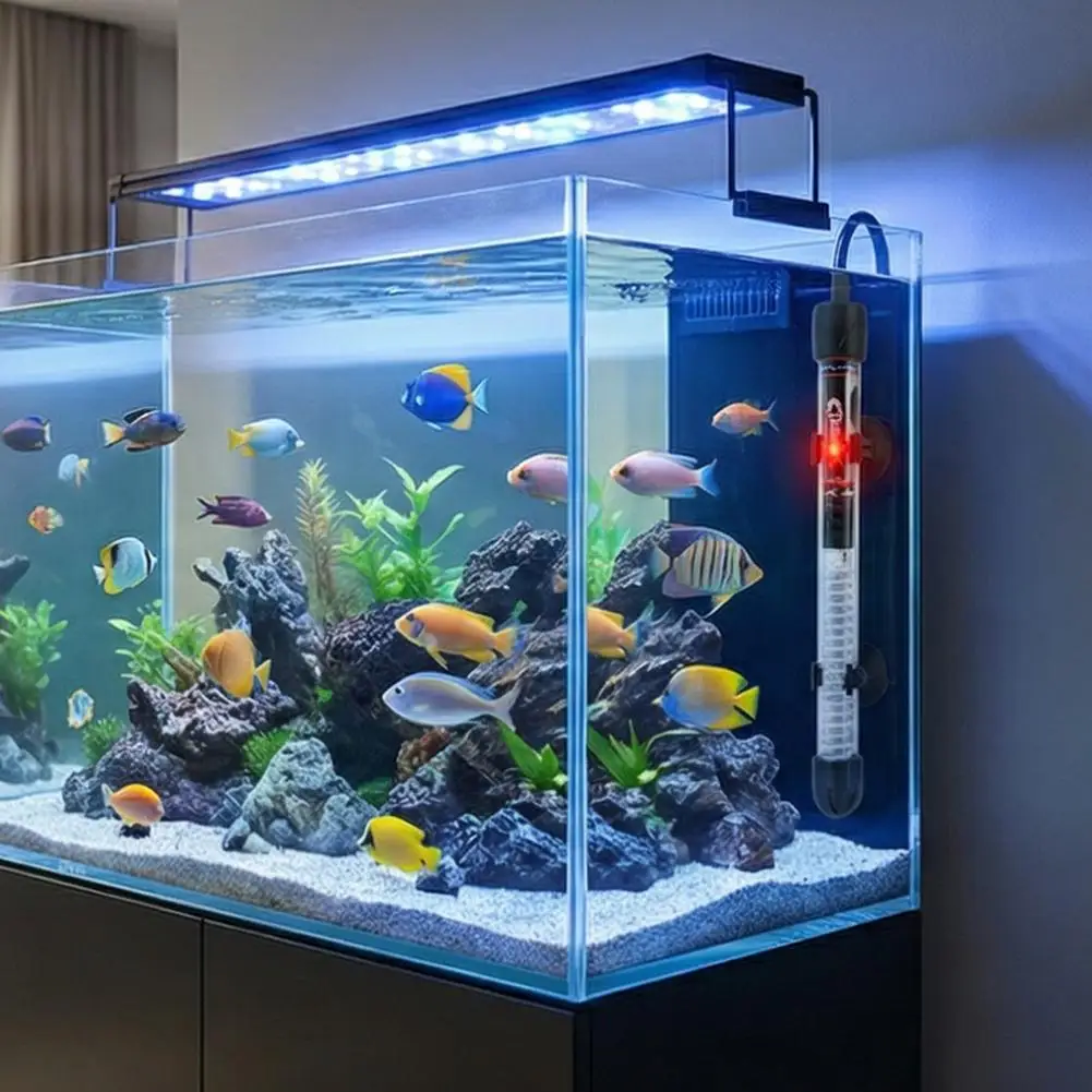 Riscaldatore per Acquario Rego - Marine Aquarium Nano recensione e prezzo