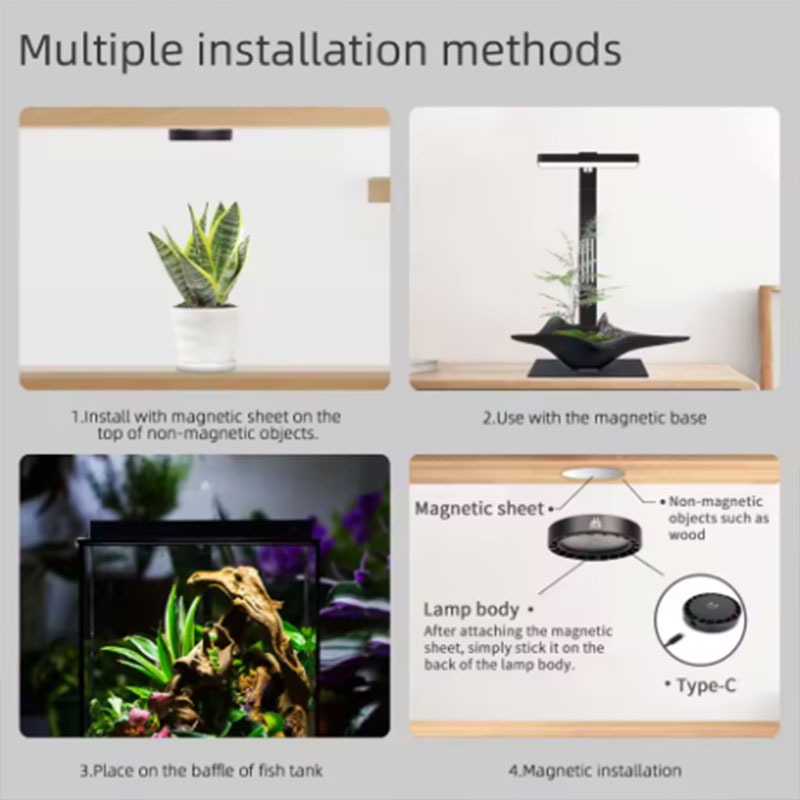 Lampada per Crescita Piante WE - Marine Aquarium Lamp recensione e prezzo