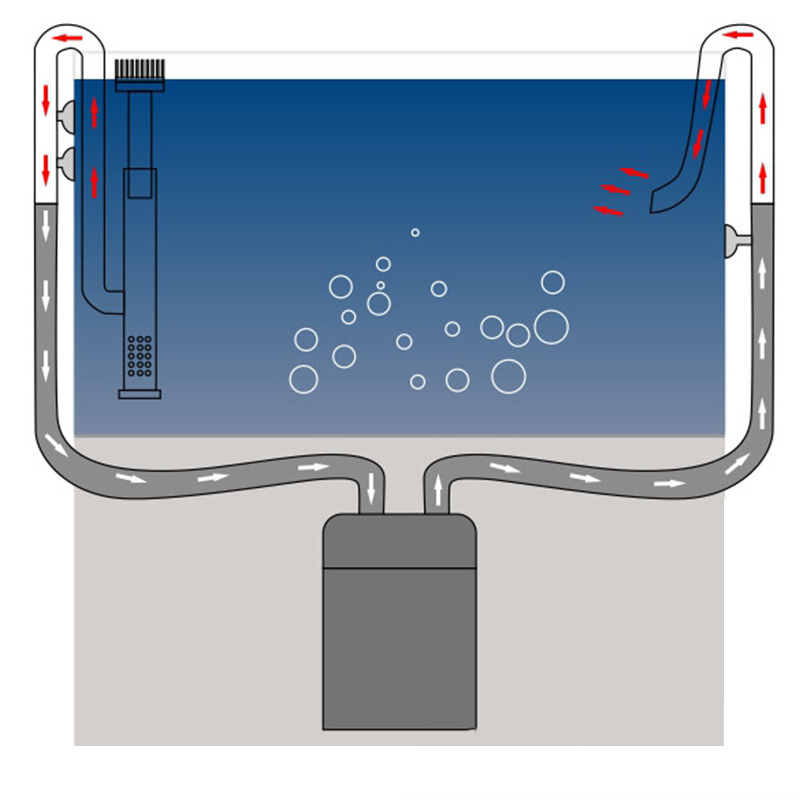 Nuovo filtro di deflusso di af - Marine Aquarium Overflow recensione e prezzo