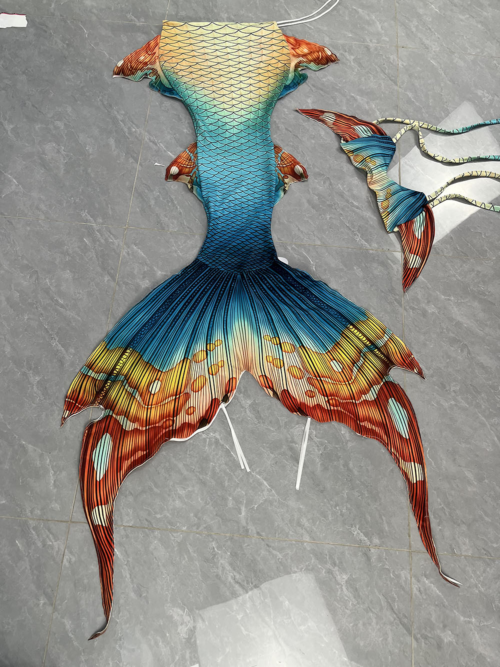Nuovo modello coda di sirena p - Aquarium & Marine Museum Universiti Malaysia Sabah Kota Kinabalu Sabah Reviews recensione e prezzo
