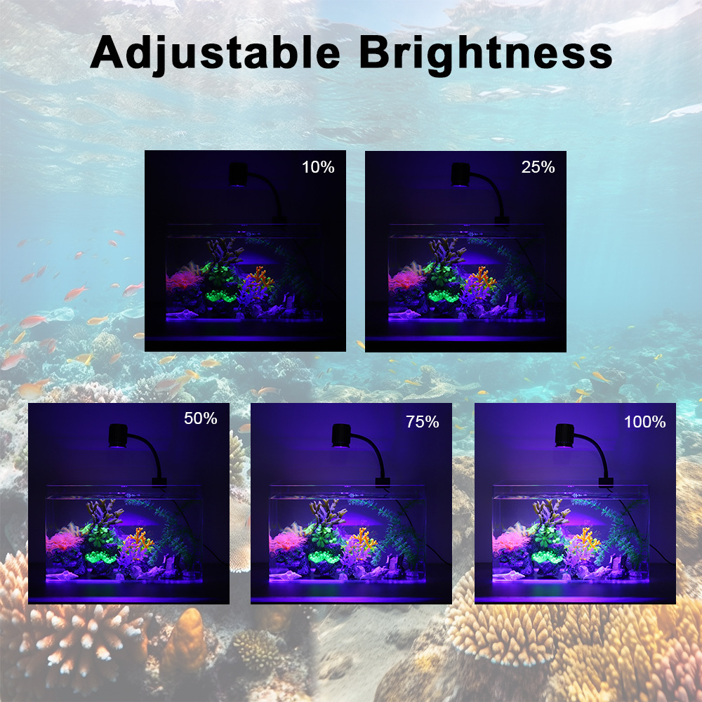 Lampada LED per Acquario a Spe - Marine Aquarium Uv Light recensione e prezzo