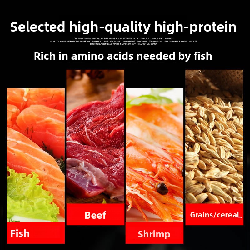 Mangime per Pesci Ornamentali  - Marine Aquarium Uv Light recensione e prezzo